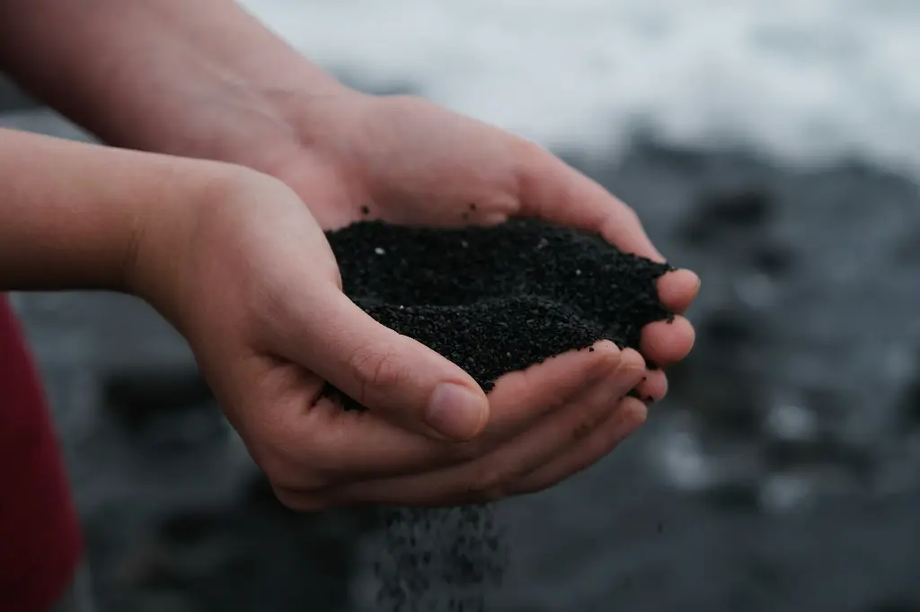 unsplash_lyMZdag-zgQ_compost.webp