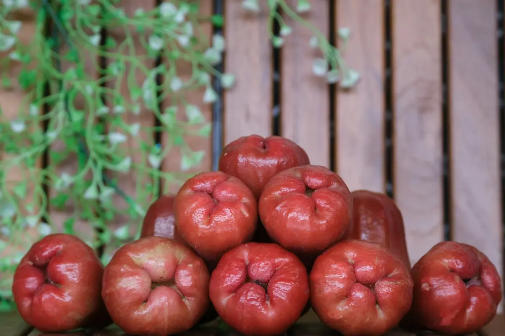 unsplash_e8if9pQh3AE_water apple.webp