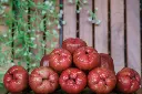 unsplash_e8if9pQh3AE_water apple.webp