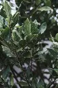 pexels-lachlan-ross-7084257.webp