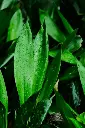 pexels-lily-lili-17626726-33742057.webp