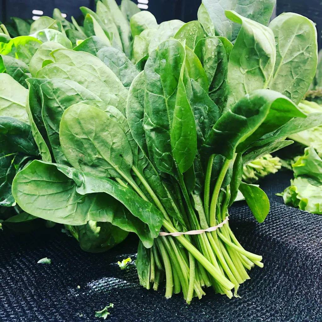 unsplash_4jpNPu7IW8k_spinach.webp