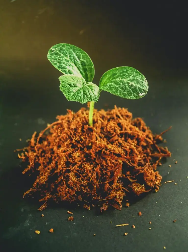 Blog Post 'Unlock Better Plant Growth With Cocopeat' cover image.webp